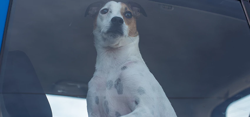 Car Lockout Solutions in Rancho Cucamonga, California